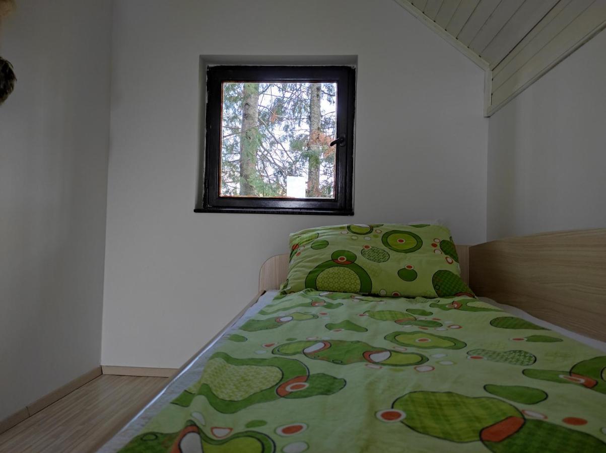 Vila Hajdi Planina Tara Bajina Basta Dış mekan fotoğraf